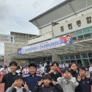 용인대꿈나무태권도체육관 이미지