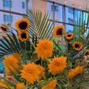 한국법률행정사사무소 이미지