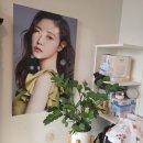 스튜디오풀라이트 이미지