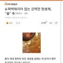 밤마다.비염,기침때문에 힘들었는데 이미지