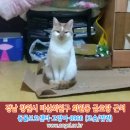 금호탕 이미지