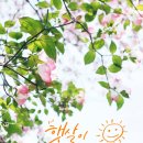 미양작은도서관 이미지