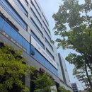 스타일 케이 | 마곡역 다운펌 잘하는 더케이스타일 마곡역점 커트 다운펌 후기
