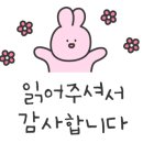 앤니 이미지