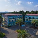 오퍼레이션 이미지