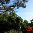 솔비공인중개사사무소 이미지