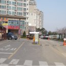 블렌하임 이미지