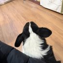 미니네잡화점 | 송리단길 소품샵 [무차코잡화점] 후기 및 구매한 물건 소개