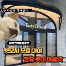 동그라미펫 | 김해 롯데 아울렛 애견동반 테이스티 펫그라운드에서 쇼핑부터 식사까지