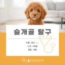 검단이담동물의료센터 이미지