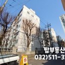 대동7호 이미지