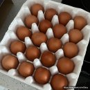 본설렁탕 문래점 | [2509] 기가막히게 잘먹고 열일한 한 주