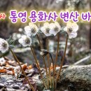용화사 이미지