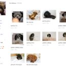 마이젤리빈 이미지