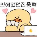 제제스튜디오 이미지