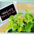 부산 피아노 방문 수업 집에서 피아노가 기다려지는 이유