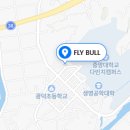 Fly Bull 이미지