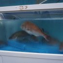 우성횟집 이미지