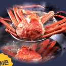 대진수산 이미지