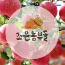 조은농부들