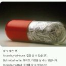 2016.4. 2 ~ 3 ) 설방식구들 주말출부에 출석하세요~^^ 이미지