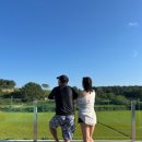 엘리스테이보령 이미지