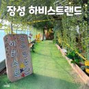 행복한 농부의집 다올 | 광주 근교 실내 아이랑 체험하기 좋은 실내 놀이터 장성 하비스트랜드 농부 체험 후기