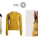 이에스케이 이미지