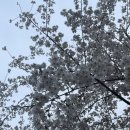 D00313 | 4월 전시/박람회/영화 위시리스트 추천 (성인 기준 만원 이하, 할인)