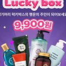 럭키두리