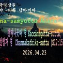 246강. (S12:15~16) Kaccānagottasuttaṃ 깟짜나곳따 경, Dhammakathikasuttaṃ 설법자 경 이미지