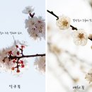 서울경복궁 이미지