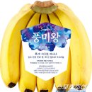 소일농장 이미지