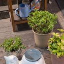 중앙동138 | 부산 중앙동 고양이가 있는 남포동 전통찻집 티오마카세 좋은차