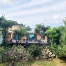 개멍물멍 이미지