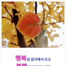 오늘더예쁜눈