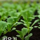 삼복농장 이미지