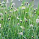 곡정초등학교 이미지