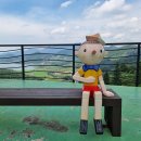 보성애견 이미지