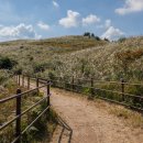 용눈이오름 주차장 이미지