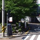 서초구견인차량보관소 이미지