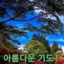 고난이 유익이 되는 길에 대해 생각해보겠습니다. 이미지