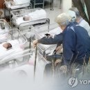 2041 이미지