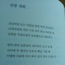 살구나무집 이미지