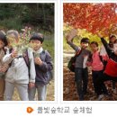 풀빛 이미지