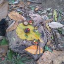 자연아 놀자자연생태탐험대 이미지