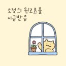 한국에서 독일택배 보내기 독일 배송대행 나우물류 이용 후기