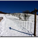 산들목장 이미지