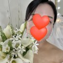 [공지] [결혼하자] 김해 메르시앙 홀패키지 더 블랑...부케 후기/본식 당일 후기 [내돈내산][솔직후기]