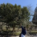 바이엔 | [후쿠오카/유후인] 유후인 료칸 바이엔 후기(유후인 숙소 비교, 비용, 숙소, 드링크바)